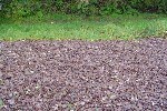 Decorative Gravel