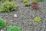 Decorative Gravel