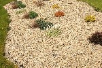 Gold stone mulch