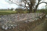 Light Limestone