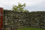 Traditional fieldstone